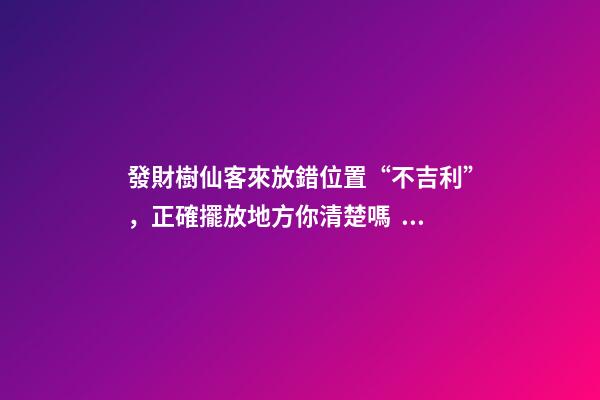 發財樹仙客來放錯位置“不吉利”，正確擺放地方你清楚嗎？
